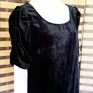 *final price* Talbots crushed velvet with ruched sleeves NWT multiples!